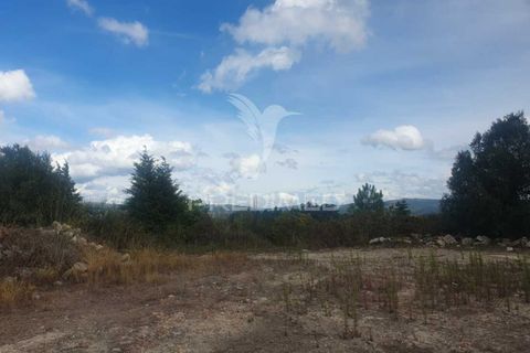 Helårsgrund i Fafe, Braga, Fafe - € 590.000 | Ref: 039384 - foto 8