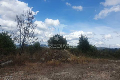 Helårsgrund i Fafe, Braga, Fafe - € 590.000 | Ref: 039384 - foto 11