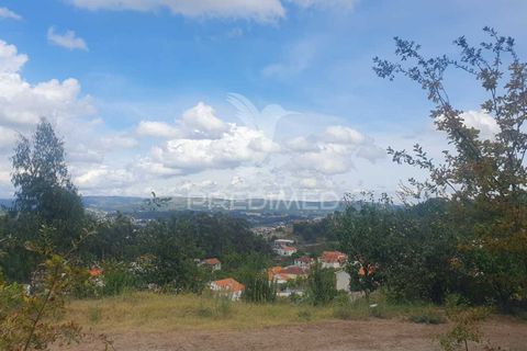 Helårsgrund i Fafe, Braga, Fafe - € 590.000 | Ref: 039384 - foto 15