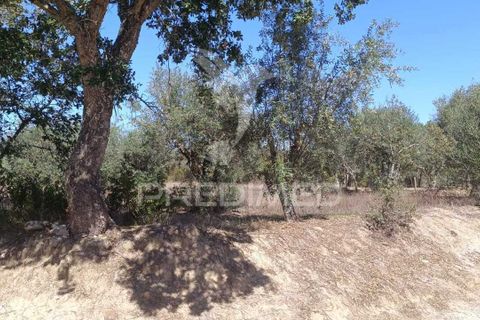 Helårsgrund i Nisa, Portalegre, Nisa - € 19.000 | Ref: 039722 - foto 1