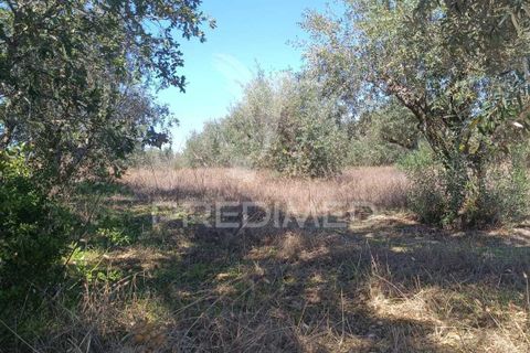 Helårsgrund i Nisa, Portalegre, Nisa - € 19.000 | Ref: 039722 - foto 4