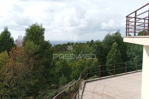 Farm hus i Sever do Vouga, Aveiro, Sever do Vouga - € 675.000 | Ref: 039741 - foto 4