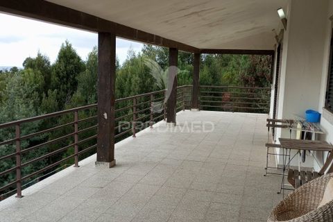 Farm hus i Sever do Vouga, Aveiro, Sever do Vouga - € 675.000 | Ref: 039741 - foto 5