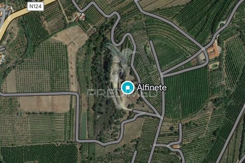 Helårsgrund i Silves, Faro, Silves - € 475.000 | Ref: 040165 - foto 15