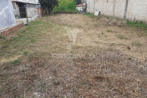 Helårsgrund i Agueda, Aveiro, Agueda - € 22.500 | Ref: 040815 - foto 2