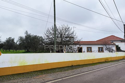 Farm hus i Avis, Portalegre, Avis - € 310.000 | Ref: 041748 - foto 3