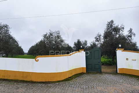 Farm hus i Avis, Portalegre, Avis - € 310.000 | Ref: 041748 - foto 4