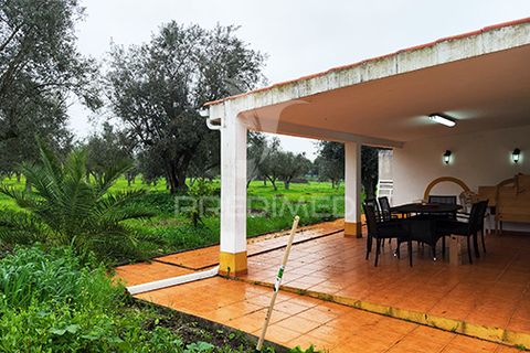Farm hus i Avis, Portalegre, Avis - € 310.000 | Ref: 041748 - foto 5