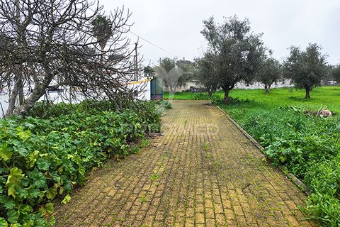 Farm hus i Avis, Portalegre, Avis - € 310.000 | Ref: 041748 - foto 24