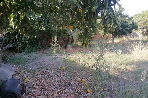 Byhus i Portalegre, Portalegre, Portalegre - € 70.000 | Ref: 041770 - foto 20