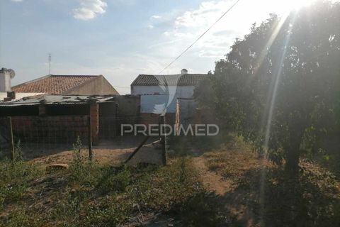 Byhus i Portalegre, Portalegre, Portalegre - € 70.000 | Ref: 041770 - foto 21