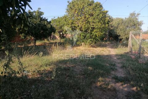 Byhus i Portalegre, Portalegre, Portalegre - € 70.000 | Ref: 041770 - foto 22