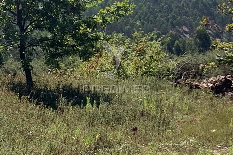 Terreno en Trofa, Porto, Trofa - € 89.500 | Ref: 042136 - photo 4
