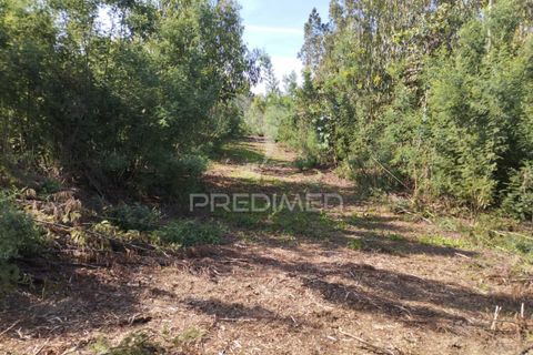 Helårsgrund i Aveiro, Aveiro, Aveiro - € 60.000 | Ref: 042167 - foto 2