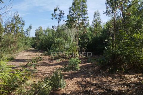 Helårsgrund i Aveiro, Aveiro, Aveiro - € 60.000 | Ref: 042167 - foto 6