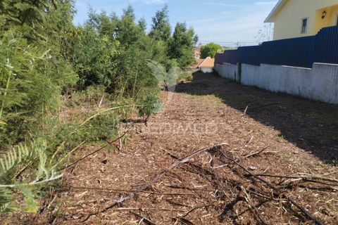 Helårsgrund i Aveiro, Aveiro, Aveiro - € 60.000 | Ref: 042167 - foto 7