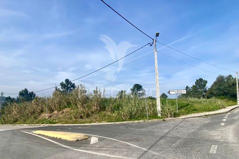 Helårsgrund i Azambuja, Lisbon, Azambuja - € 1.100.000 | Ref: 042484 - foto 1