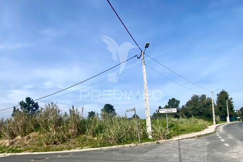Helårsgrund i Azambuja, Lisbon, Azambuja - € 1.100.000 | Ref: 042484 - foto 3