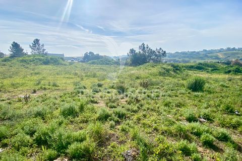 Helårsgrund i Azambuja, Lisbon, Azambuja - € 1.100.000 | Ref: 042484 - foto 4