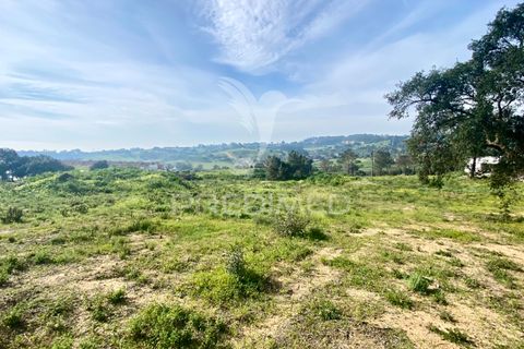 Helårsgrund i Azambuja, Lisbon, Azambuja - € 1.100.000 | Ref: 042484 - foto 6