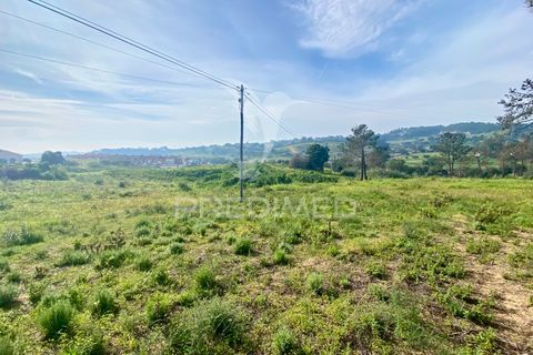 Helårsgrund i Azambuja, Lisbon, Azambuja - € 1.100.000 | Ref: 042484 - foto 7