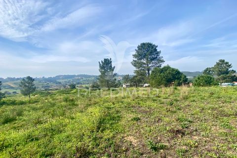 Helårsgrund i Azambuja, Lisbon, Azambuja - € 1.100.000 | Ref: 042484 - foto 8
