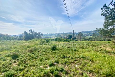 Helårsgrund i Azambuja, Lisbon, Azambuja - € 1.100.000 | Ref: 042484 - foto 9