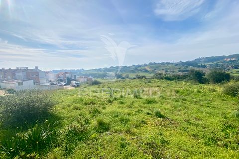 Helårsgrund i Azambuja, Lisbon, Azambuja - € 1.100.000 | Ref: 042484 - foto 11