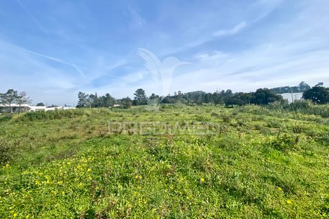 Helårsgrund i Azambuja, Lisbon, Azambuja - € 1.100.000 | Ref: 042484 - foto 12