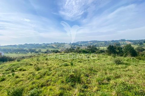 Helårsgrund i Azambuja, Lisbon, Azambuja - € 1.100.000 | Ref: 042484 - foto 13