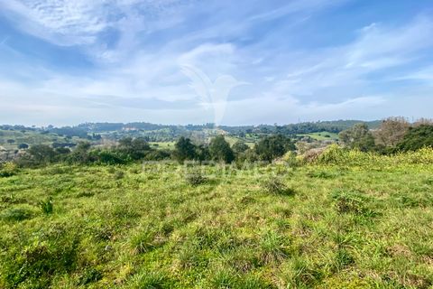 Helårsgrund i Azambuja, Lisbon, Azambuja - € 1.100.000 | Ref: 042484 - foto 14