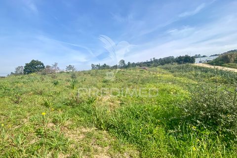 Helårsgrund i Azambuja, Lisbon, Azambuja - € 1.100.000 | Ref: 042484 - foto 15