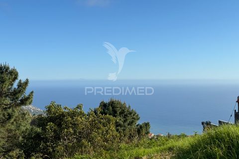 Landejendom i Ponta do Sol, Madeira, Ponta do Sol - € 200.000 | Ref: 043209 - foto 6