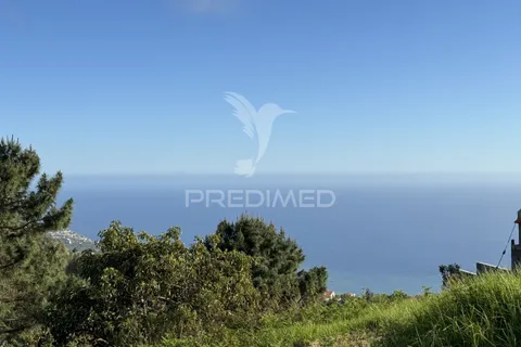 Landejendom i Ponta do Sol, Madeira, Ponta do Sol - € 200.000 | Ref: 043209 - foto 8