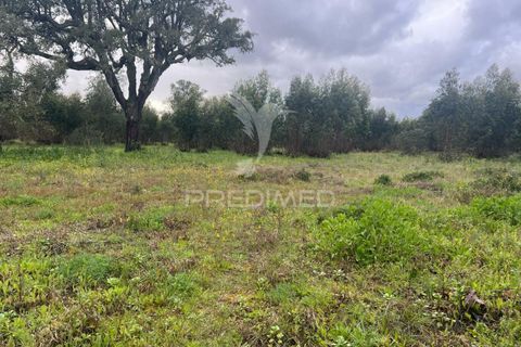 Helårsgrund i Palmela, Setubal, Palmela - € 240.000 | Ref: 043318 - foto 1