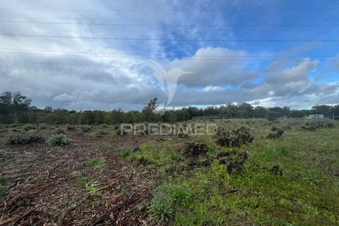 Helårsgrund i Palmela, Setubal, Palmela - € 240.000 | Ref: 043318 - foto 4