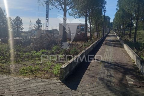 Helårsgrund i Constancia, Santarem, Constancia - € 54.000 | Ref: 043678 - foto 3