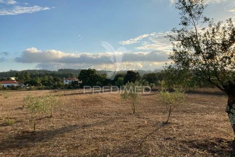 Helårsgrund i Ourem, Santarem, Ourem - € 120.000 | Ref: 043712 - foto 2