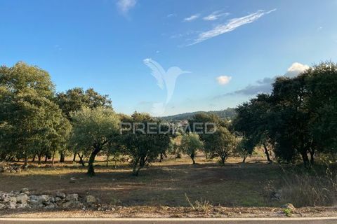 Helårsgrund i Ourem, Santarem, Ourem - € 120.000 | Ref: 043712 - foto 5
