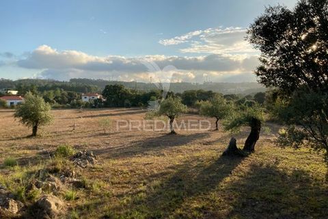 Helårsgrund i Ourem, Santarem, Ourem - € 120.000 | Ref: 043712 - foto 6