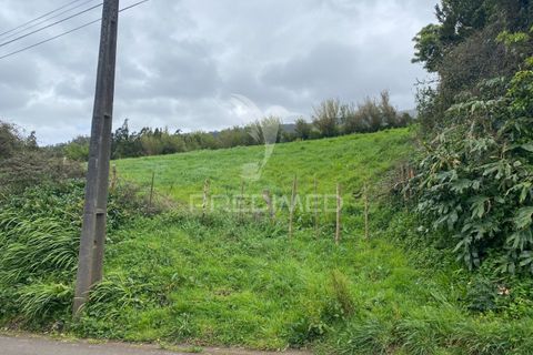 Helårsgrund i Velas, Sao Jorge, Velas - € 28.000 | Ref: 043847 - foto 2