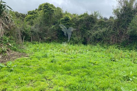 Helårsgrund i Velas, Sao Jorge, Velas - € 28.000 | Ref: 043847 - foto 6