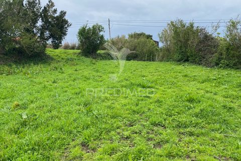 Helårsgrund i Velas, Sao Jorge, Velas - € 28.000 | Ref: 043847 - foto 12