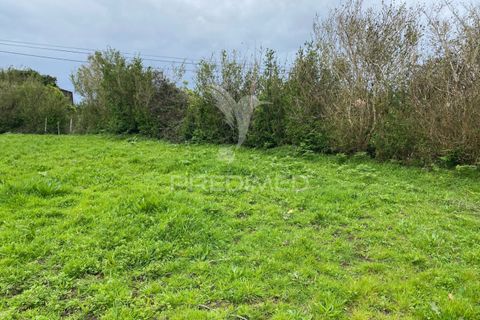 Helårsgrund i Velas, Sao Jorge, Velas - € 28.000 | Ref: 043847 - foto 14