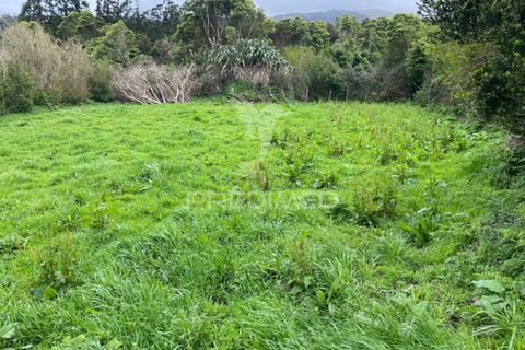Helårsgrund i Velas, Sao Jorge, Velas - € 28.000 | Ref: 043847 - foto 15