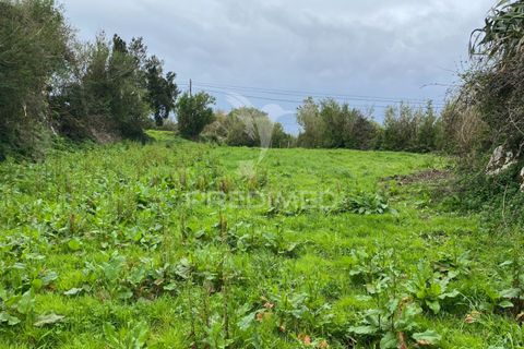 Helårsgrund i Velas, Sao Jorge, Velas - € 28.000 | Ref: 043847 - foto 21