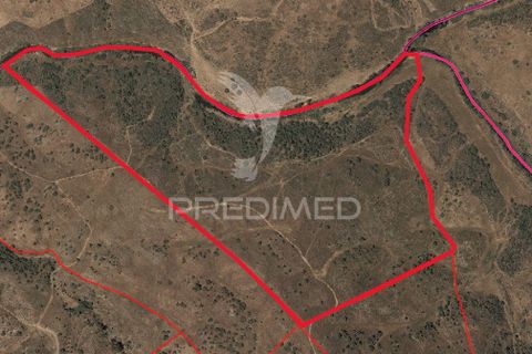 Helårsgrund i Almodovar, Beja, Almodovar - € 150.000 | Ref: 043885 - foto 2