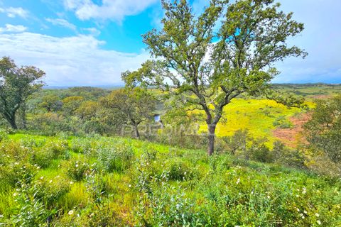 Helårsgrund i Almodovar, Beja, Almodovar - € 150.000 | Ref: 043885 - foto 3