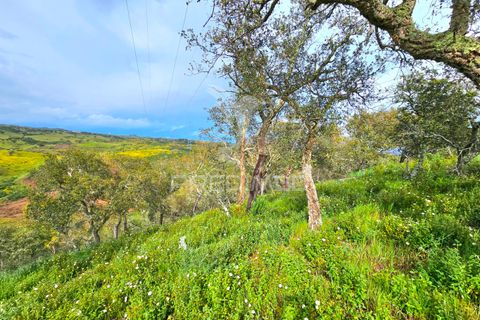 Helårsgrund i Almodovar, Beja, Almodovar - € 150.000 | Ref: 043885 - foto 4