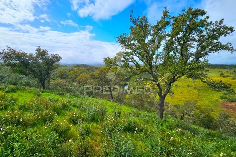 Helårsgrund i Almodovar, Beja, Almodovar - € 150.000 | Ref: 043885 - foto 6
